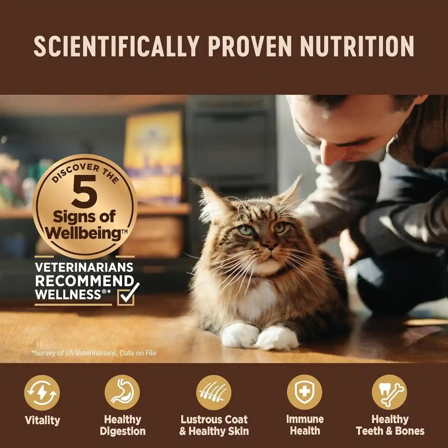 wellness-core-tiny-tasters-pate-variety-pack-adult-wet-cat-food-natural-protein-rich-grain-free-land-recipes-1-75-oz-pack-of-12-pouches