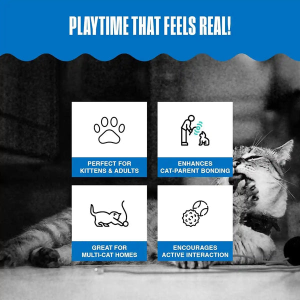 Penn-Plax Play Fur Mice Cat Toys, 12 Pack - Soft Polyester with Rattling Sound for Interactive Play, Exercise & Hunting - Lightweight Cat Toy Set for All Ages & Breeds - Black, White & Gray - 2 Inches6