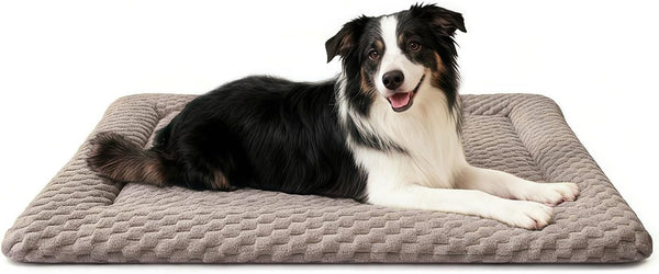 Dog Bed Mat, Dual-Sided Dog Crate Bed Mat - Ultra Soft & Machine Washable Kennel Pad for Small Dogs, All-Season Comfort Pet Bed for Crates, Travel, and Home, Star Gray, 24 X 16 Inch14