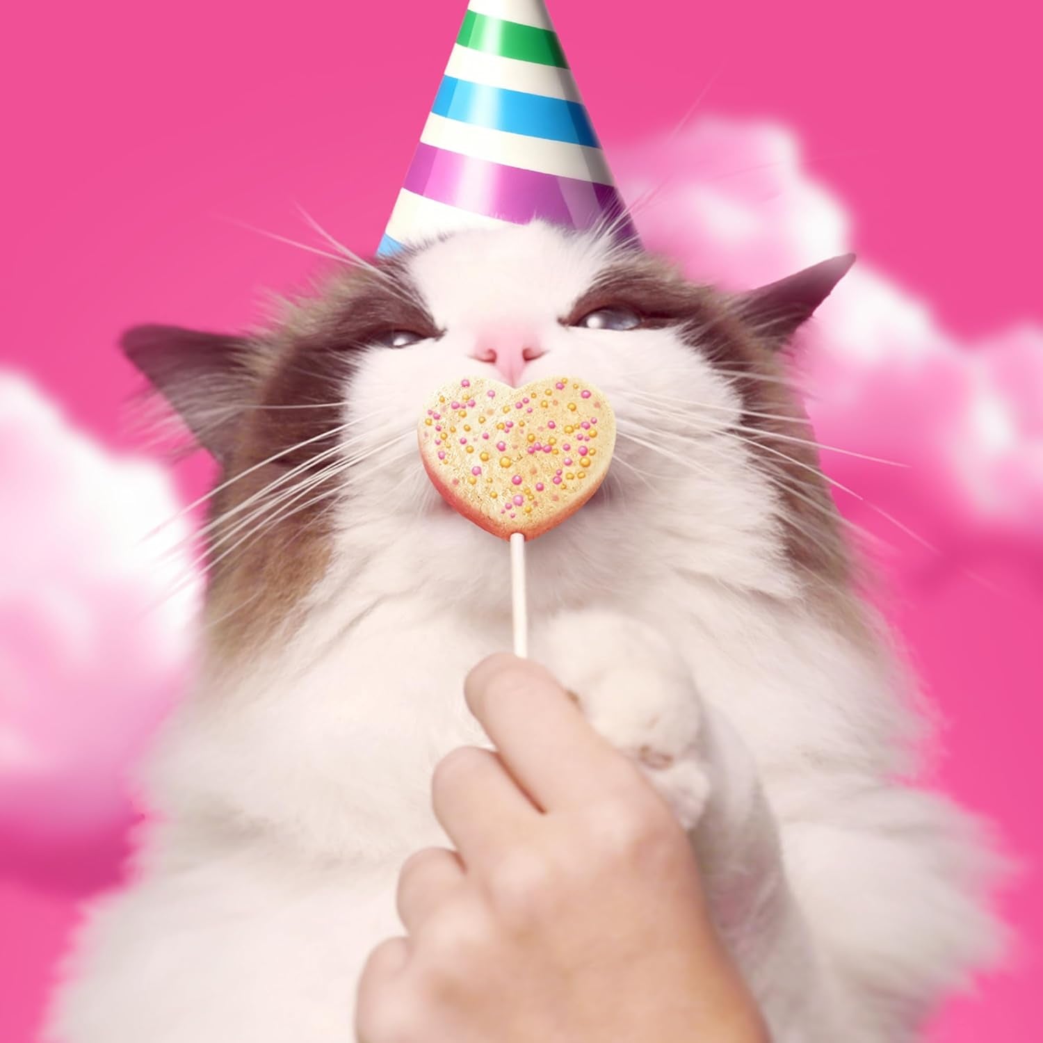 bonkers-purrpops-birthday-edition-freeze-dried-chicken-flavored-lollipop-cat-treats-4-pieces-pack-of-13