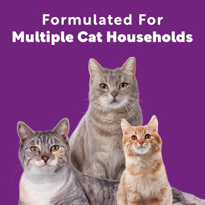 Scoop Away Multi Cat Litter with Meadow Fresh Scent, 14 Lb. Box (Package May Vary)6