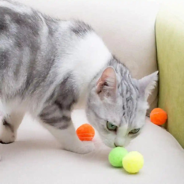 Premium Soft Pom Pom Balls for Kittens - Lightweight, Interactive, Assorted Colors - Plush Toy for Kitten Training and Play - Pet Products for Cats (1.2 Inches 30 Balls)6