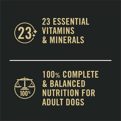 Purina Pro Plan Sensitive Skin and Stomach Dog Food Wet Classic Pate Salmon and Rice Entrée - (Pack of 12) 13 Oz. Cans9
