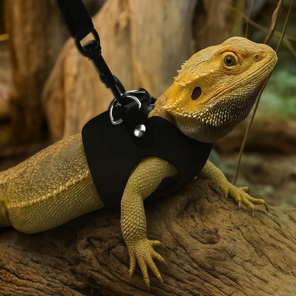 3Size Black Bearded Dragon Leash and Harness Set with Lizard Traction Rope | for Reptile, Lizard Leash/ Squirrel Harness/ Small Rabbit Traction Rope (S, M, L)5