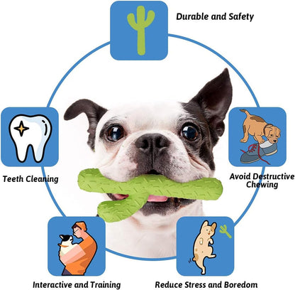 Mewajump Dog Chew Toys, Durable Rubber Dog Toys for Aggressive Chewers, Cactus Tough Toys for Training and Cleaning Teeth, Interactive Dog Toys for Medium/Large Dog3