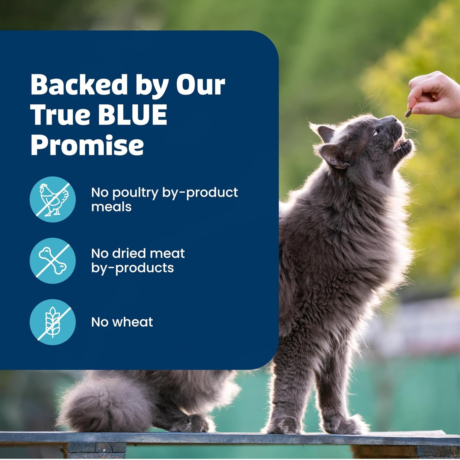 blue-buffalo-bursts-paw-lickin-chicken-crunchy-creamy-cat-treats-great-for-training-made-with-real-chicken-natural-cat-treats-enhanced-with-vitamins-minerals-other-nutrients-5-oz