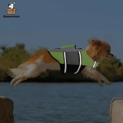 Queenmore Dog Life Jacket Small Float Vests for Swimming Boating Kayaking Mediumn Puppy Dogs Cats Neoprene Life Preserver Pet Water Lifesaver Lightweight Reflective Green,L6