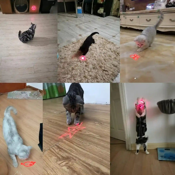 Zugesify Interactive Cat Toy, Rechargeable Red Light Chasing Toy for Indoor Cats, 3 Modes & 5 Moving Patterns, Automatic Pet Exercise Toy for Kitten & Puppy Play (2 PCS)6