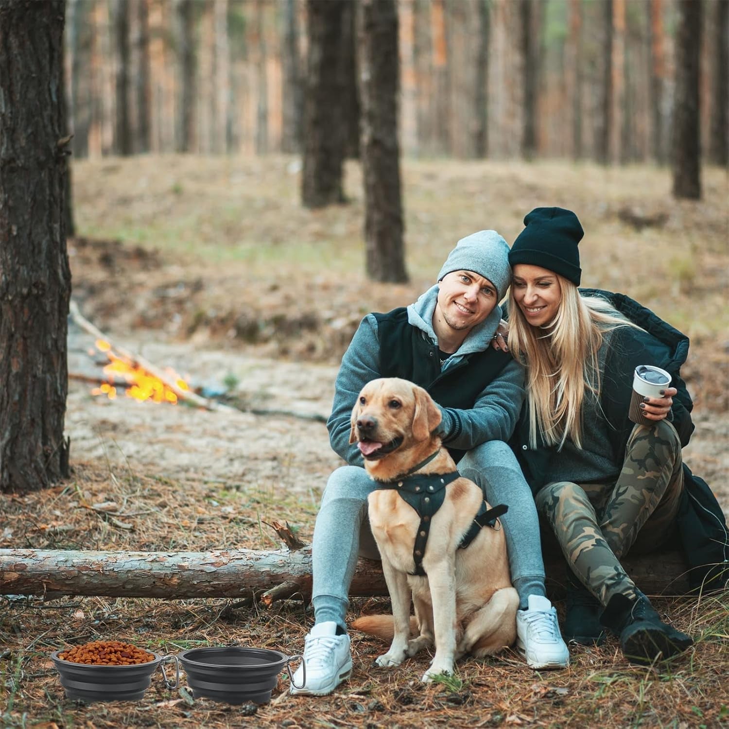 large-dog-bowl-pet-collapsible-bowls-2-pack-collapsible-dog-water-bowls-for-cats-dogs-portable-pet-feeding-watering-dish-for-walking-parking-traveling-with-2-carabiners-large-black-black