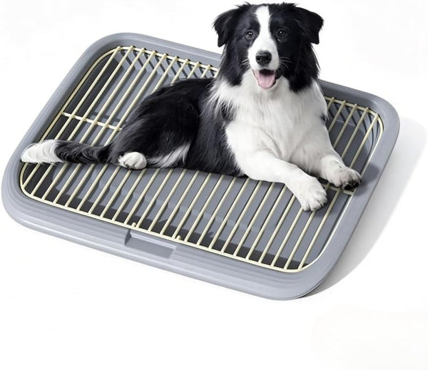 Dog Potty Tray Indoor Pet Pee Pad Holder for Small & Medium Dogs, Puppy Training Pad Holder, Pet Toilet Litter Box, Dog Bathroom Tray, Housebreaking Potty Supplies 17.72''Lx12.99''Wx1.97''H(Green)9