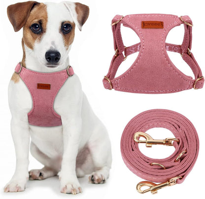 CHEDE No Pull Puppy Harness and Multifunction Dog Leash Set- 8 Colors Soft Adjustable No Choke Escape Proof Cute,Lightweight Pet Vest Harness for Small and Medium Dog…10