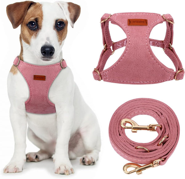 CHEDE No Pull Puppy Harness and Multifunction Dog Leash Set- 8 Colors Soft Adjustable No Choke Escape Proof Cute,Lightweight Pet Vest Harness for Small and Medium Dog…10