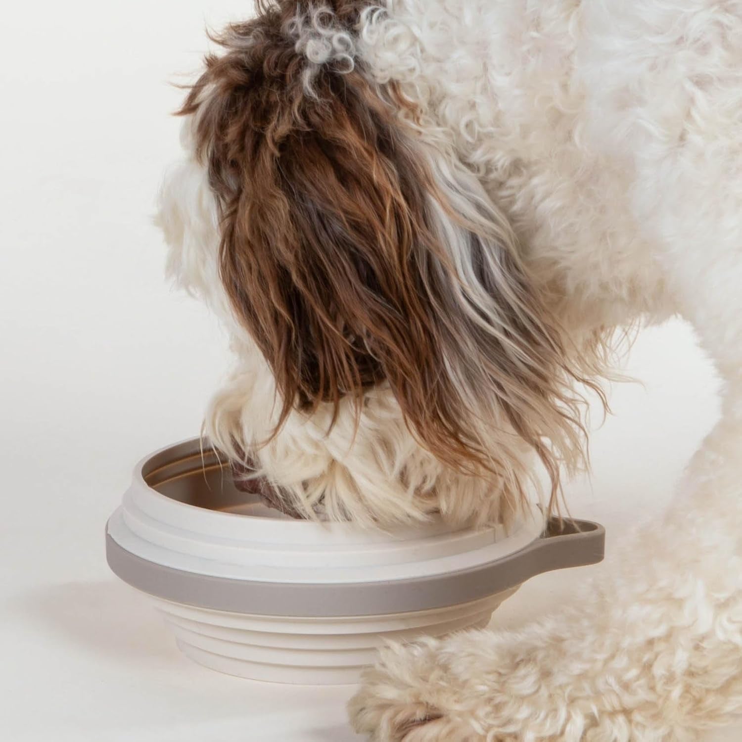 cleverpup-nomad-large-collapsible-travel-dog-bowl-4-cup-bpa-free-silicone-for-medium-large-dogs-portable-food-water-dishwasher-safe-sand