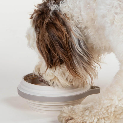 Cleverpup Nomad Large Collapsible Travel Dog Bowl - 4 Cup Bpa-Free Silicone for Medium & Large Dogs, Portable, Food & Water, Dishwasher Safe - Sand3