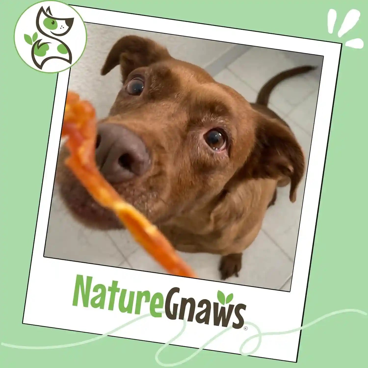 nature-gnaws-usa-turkey-tendons-for-dogs-4oz-delicious-grain-free-reward-snack-for-small-medium-large-breeds-premium-natural-dog-chew-treats