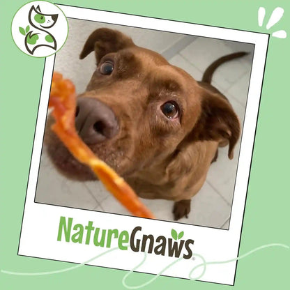Nature Gnaws USA Turkey Tendons for Dogs (4Oz) - Delicious Grain Free Reward Snack for Small, Medium & Large Breeds - Premium Natural Dog Chew Treats6