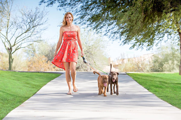 WIGZI (2) Two Dog Reflective Retractable Pet Leash – 360 Degree Zero Tangle Patent - Two Dogs Each up to 50 Lbs and 10Ft. Reflective Orange and Green Leads. Dual Locking5