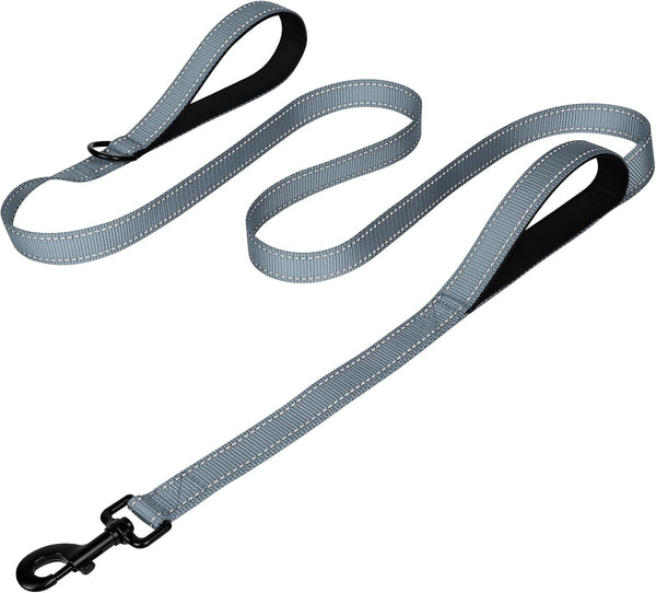 Joytale Reflective Dog Leash for Medium & Large Dogs, 6 FT X 1", Black | Heavy Duty Nylon Webbing, Padded Handle for Comfort, Visible at Night, for Walking & Training34