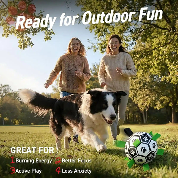 QDAN Dog Toys Dog Balls, 6 Inch Dog Soccer Ball with Straps, Herding Balls | Dog Birthday Toy, Balls for 20-40Lbs Dogs, Outdoor Puppy Toys to Keep Them Busy, Interactive Toy for Tug, Pool Water Toy Ball5