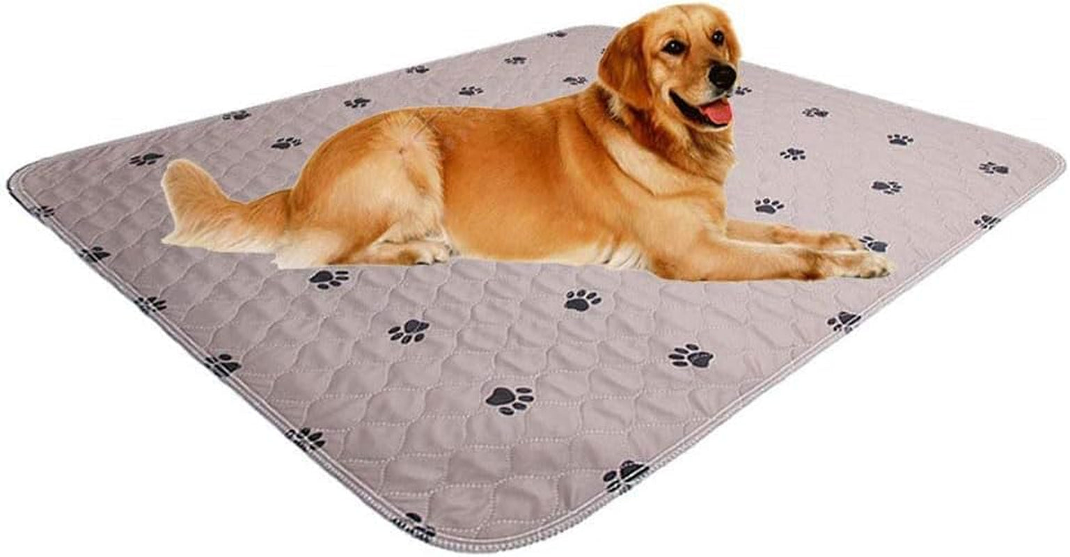 washable-dog-pee-pads-with-puppy-grooming-gloves-puppy-pads-reusable-pet-training-pads-large-dog-pee-pad-waterproof-pet-pads-for-dog-bed-mat-super-absorbing-whelping-pads