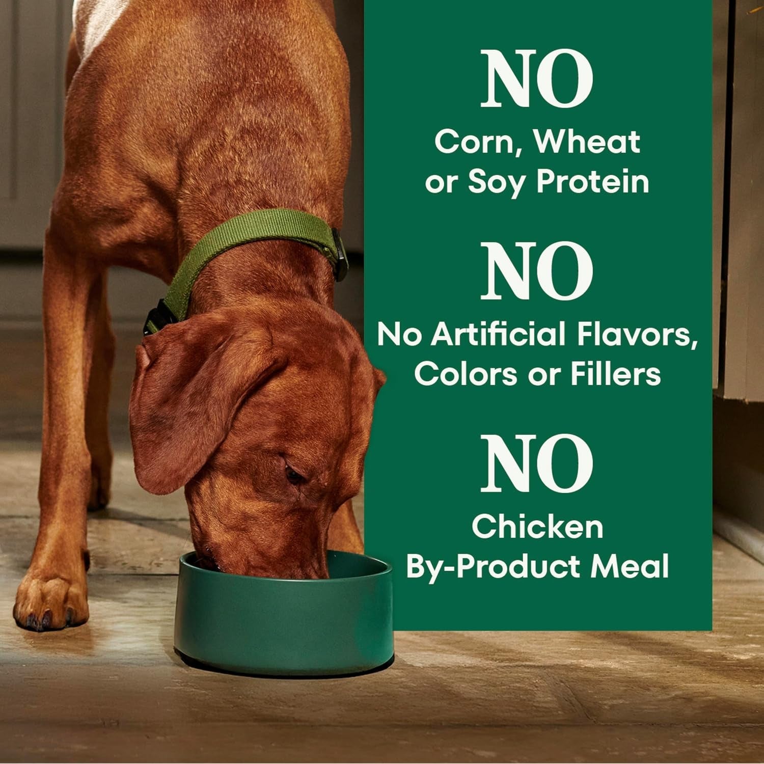 nutro-natural-choice-adult-dry-dog-food-chicken-brown-rice-recipe-30-lb-non-gmo-real-chicken-1-ingredient-no-corn-wheat-soy-or-chicken-by-product-meal-supports-skin-coat-digestion-immunity