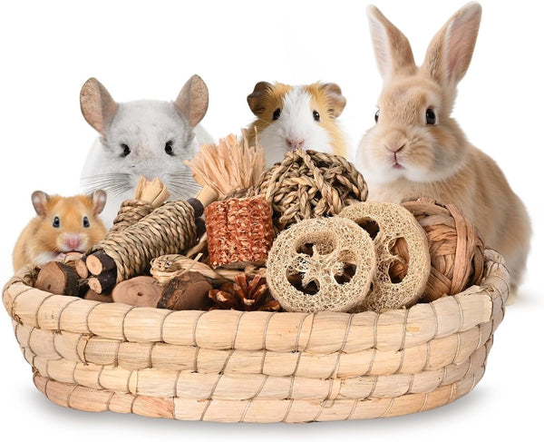 31PCS Rabbit Chew Treat Toys for Teeth Health, Natural Bunny Enrichment Toys for Boredom & Stress Relief, Keep Busy Toys for Guinea Pig Chinchilla Hamster Rat Gerbil Degu Indoor Outdoor1