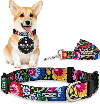 Lucky Love Dog - Easy Click Buckle Dog Collar with Leash Set Combo, Durable & Comfortable for Male & Female Dogs, Pet Collar for Medium Dogs, Secure Fit - Blackbird Combo, Medium50