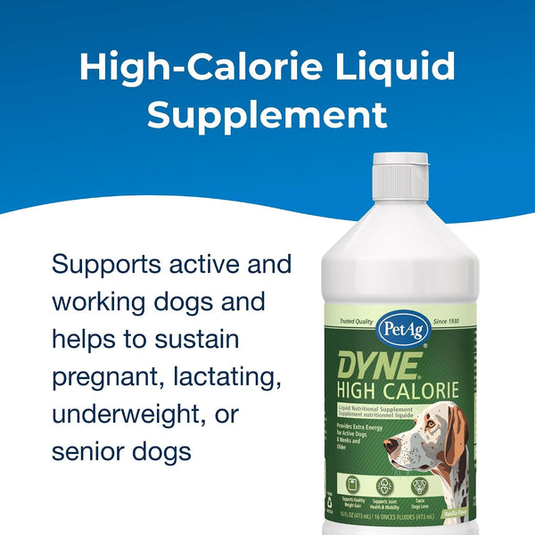 Petag Dyne High Calorie Liquid Nutritional Supplement for Dogs & Puppies 8 Weeks and Older - 16 Oz - Supports Performance and Endurance - Sweet Vanilla Flavor3