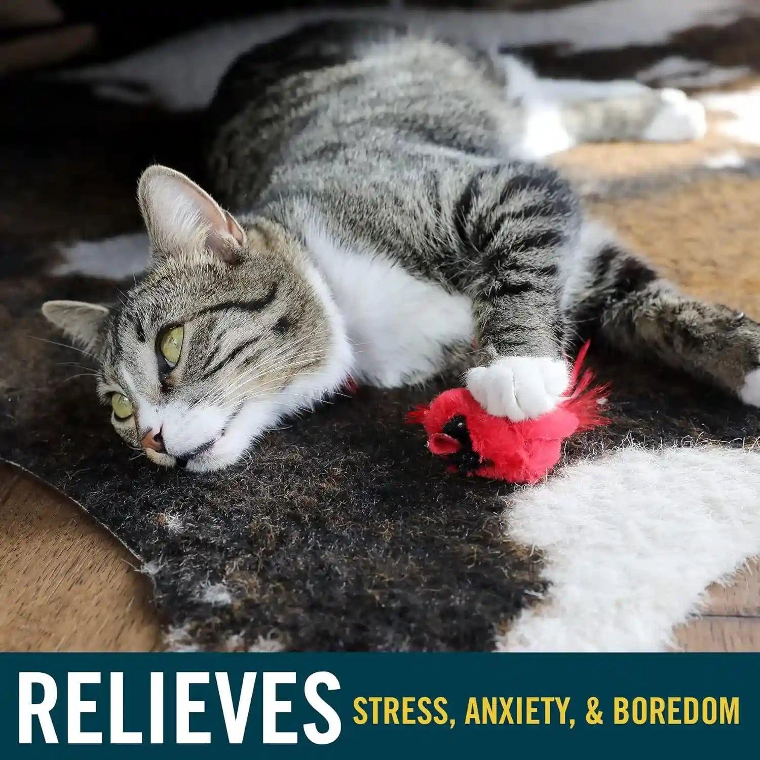 ourpets-play-n-squeak-real-birds-interactive-cat-toys-with-catnip-cat-toys-for-indoor-cats-catnip-toy-for-cats-with-bird-chirping-electronic-sound-and-feather