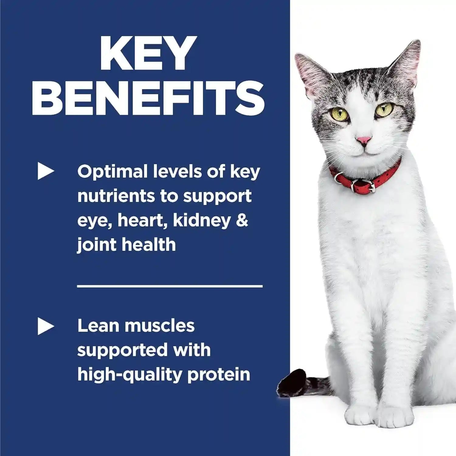 hills-science-diet-senior-11-dry-cat-food-1-veterinarian-recommended-chicken-recipe-3-5-lb-bag