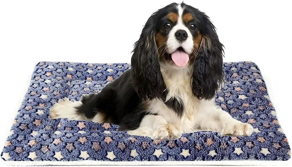 Mora Pets Dog Crate Pad - Ultra Soft Pet Bed with Cute Star Print, Washable Mat for Large Medium Small Dogs, Reversible Fleece Kennel Liner, Cat Bed 23 X 18 Inch Brown18