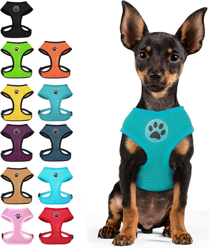 BINGPET Small Dog Harness, No Pull Dog Harness Small Sized Dogs, Soft Light Breathable Mesh Puppy Vest with Safety Buckle-Adjustable Step in Pet Harnesses for Easy Walking, Running, Training1