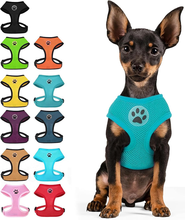 BINGPET Small Dog Harness, No Pull Dog Harness Small Sized Dogs, Soft Light Breathable Mesh Puppy Vest with Safety Buckle-Adjustable Step in Pet Harnesses for Easy Walking, Running, Training1