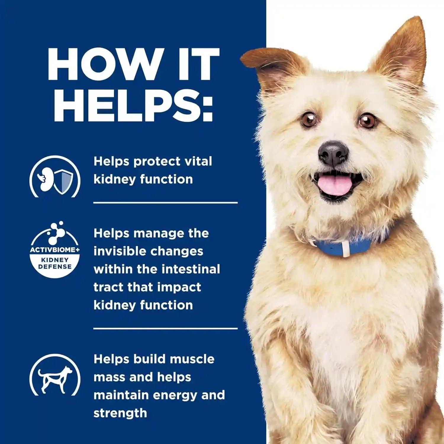 hills-prescription-diet-k-d-kidney-care-dry-dog-food-1-veterinarian-recommended-chicken-recipe-8-5-lb-bag