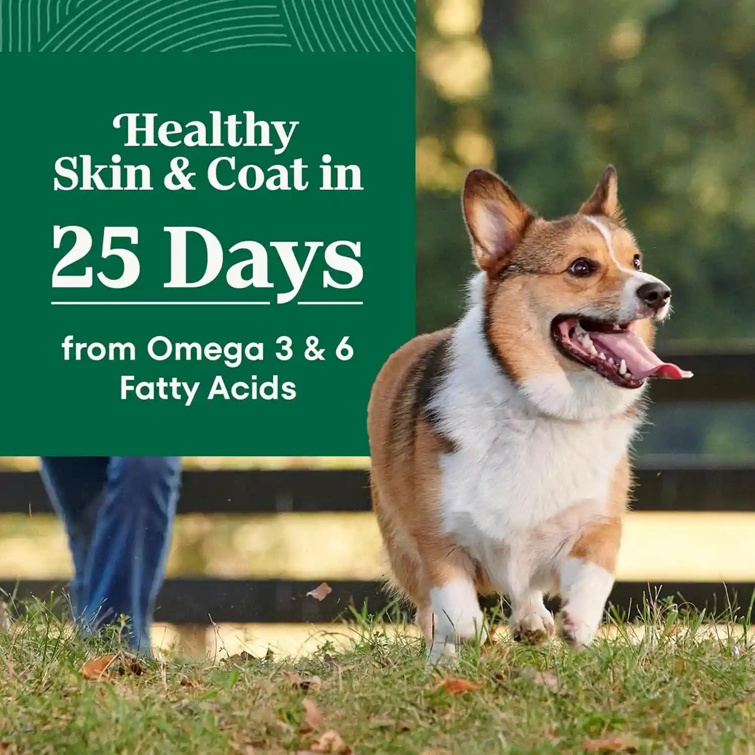 nutro-natural-choice-small-breed-dry-dog-food-chicken-rice-5-lb-non-gmo-real-chicken-1-ingredient-no-corn-wheat-soy-omega-3-6-for-soft-shiny-coat-supports-energy-bones-muscles