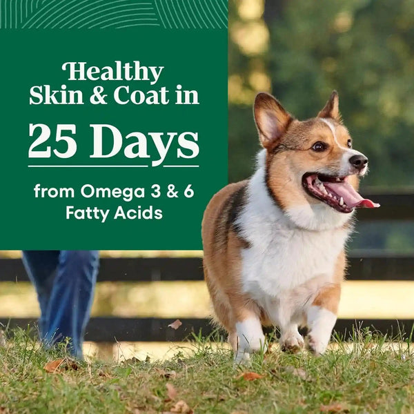 Nutro Natural Choice Small Breed Dry Dog Food, Chicken & Rice, 5 Lb | Non-Gmo, Real Chicken #1 Ingredient, No Corn, Wheat, Soy, Omega-3 & 6 for Soft Shiny Coat, Supports Energy, Bones & Muscles3