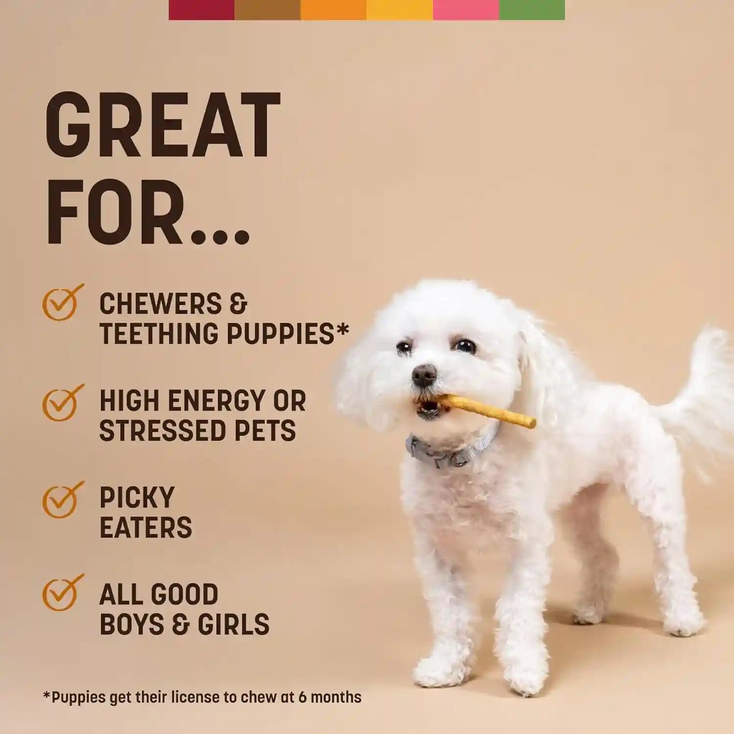 earth-animal-no-hide-stix-rawhide-free-dog-chews-sticks-10-count-chicken-small-sticks-chicken-flavored-natural-rawhide-free-long-lasting-dog-chews-treats-for-small-dogs-and-cats
