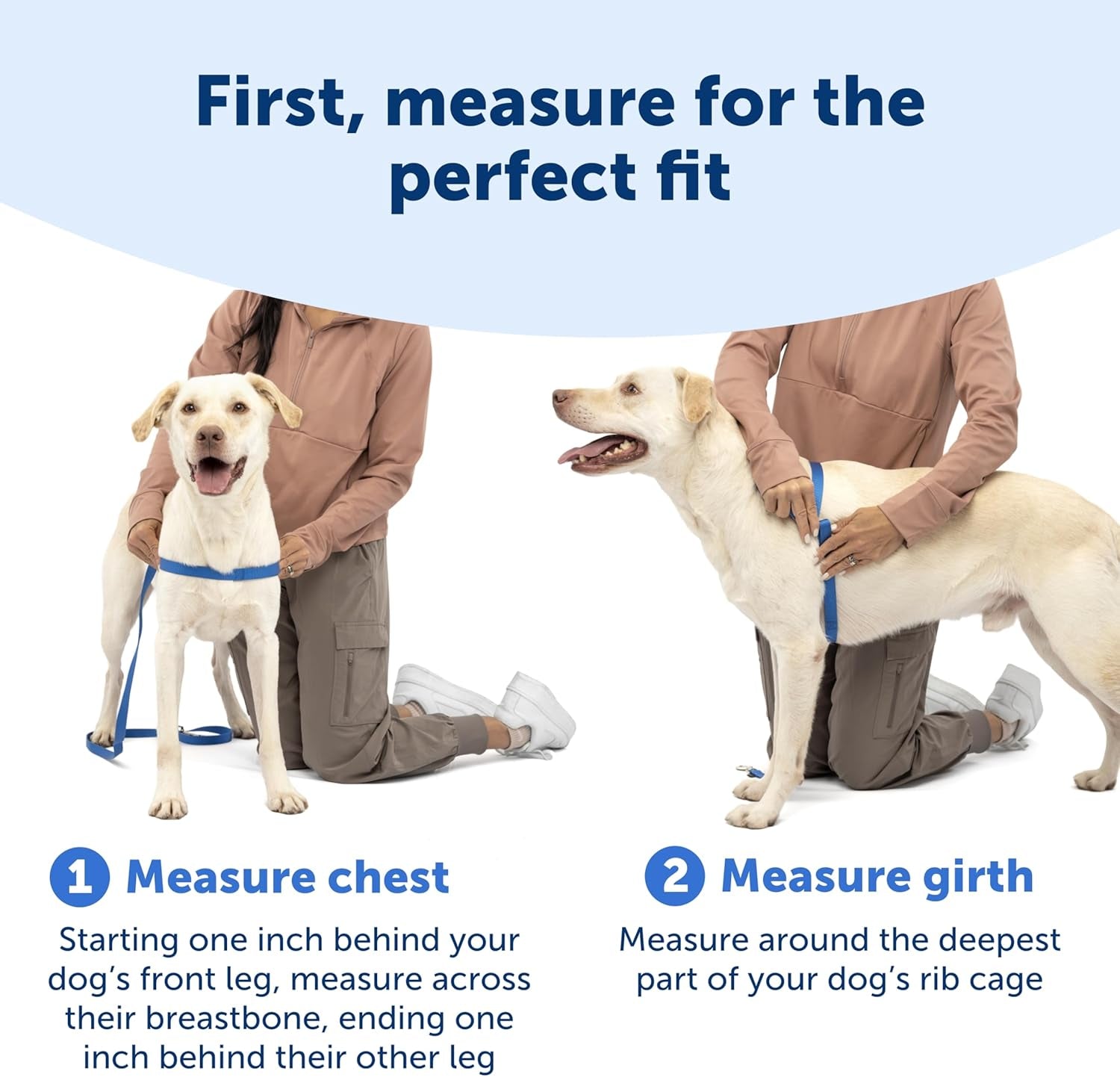 petsafe-easy-walk-deluxe-dog-harness-no-pull-dog-harness-perfect-for-leash-harness-training-stops-pets-from-pulling-and-choking-on-walks-medium-ocean