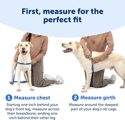 Petsafe Easy Walk Deluxe Dog Harness, No Pull Dog Harness – Perfect for Leash & Harness Training – Stops Pets from Pulling and Choking on Walks – Medium, Ocean7