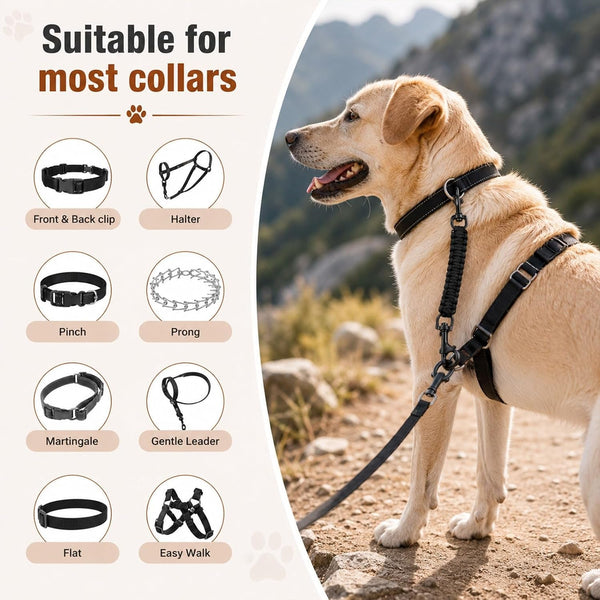Amabro Handmade Dog Collar Safety Clip Heavy Duty Double Ended 8.66" Black | Handmade Gentle Leader Backup Safety Clip Strap Durable Leash Connector Accessory Compatible Dog Prong Collars Pet Harnesses2