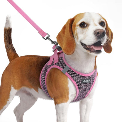 Eagloo Small Dog Harness and Leash Set, Step in Small Sized Puppy Pet Vest | Light, Soft, Breathable Air Mesh, Easy on and off with Hook & Loop, Reflective for Safe Walking, Pink, S12