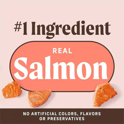 Merrick Power Bites Salmon Recipe Healthy Dog Treats, Real Salmon Grain-Free Dog Snacks, 6 Oz Bag4