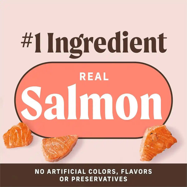 Merrick Power Bites Salmon Recipe Healthy Dog Treats, Real Salmon Grain-Free Dog Snacks, 6 Oz Bag4