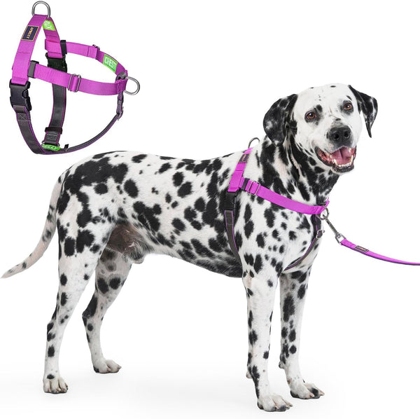 Freedom No Pull Dog Harness, Purple, Large | Designed for Hound Dog Train, Easy Walk with 2 Stainless D-Rings, Sewn-In Instructions Tags, 60-80 Lbs1