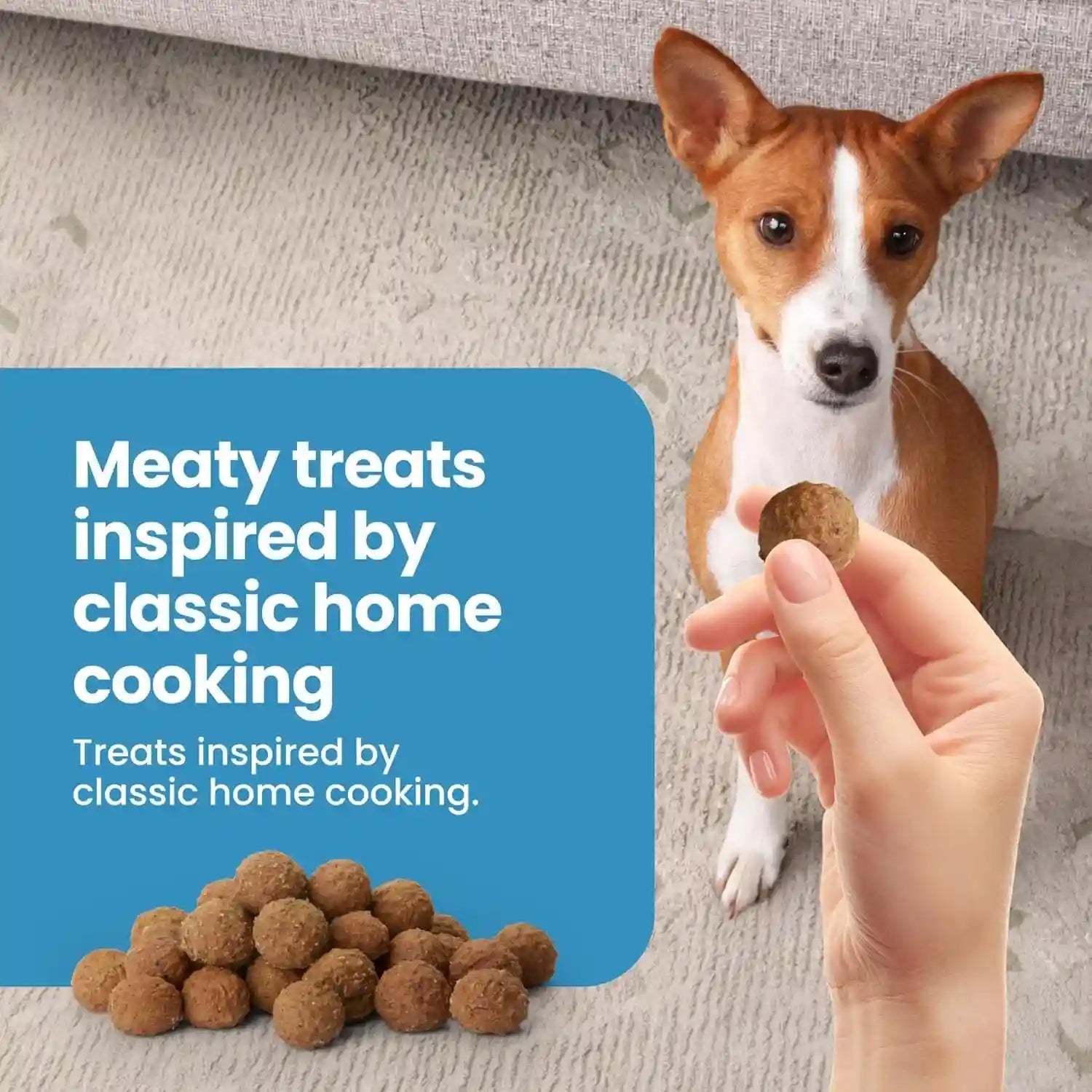 blue-buffalo-nudges-beef-rice-homestyle-natural-dog-treats-meatball-inspired-recipe-healthy-reward-or-training-treat-made-in-the-usa-with-real-beef-no-artificial-preservatives-16-oz
