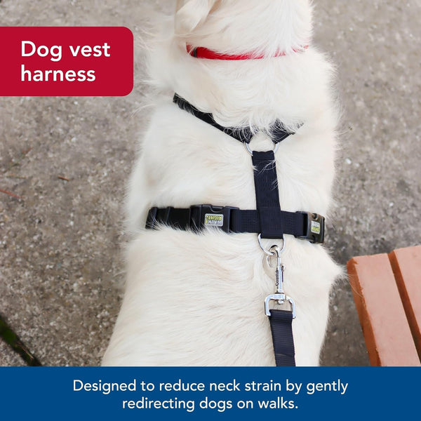 Coastal Pet Walk Right Front-Connect No-Pull Padded Dog Harness - Adjustable & Comfortable Dog Harness - Small & Large Breed Fit - Quality Pet Supplies - Black, LRG (26"-38")6