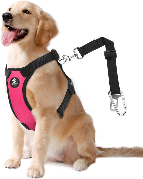 Vavopaw Dog Seat Belt Vest Harness for Car,2 in 1 Seatbelt Buckle | Soft Breathable Mesh,Adjustable Buckle,Nylon,Heavy Duty Pet Safety Seat Belts for Small Medium Large Pets,Black,L19