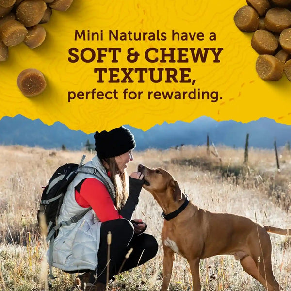 Zuke’S Mini Naturals Dog Training Treats for Dogs, Pet Treats Made with Real Peanut Butter- 16 Oz. Bag4