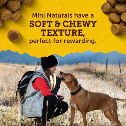 Zuke’S Mini Naturals Dog Training Treats for Dogs of All Sizes, Pet Treats Made with Real Salmon, 16 Oz. Resealable Pouch - 16 Oz. Bag4