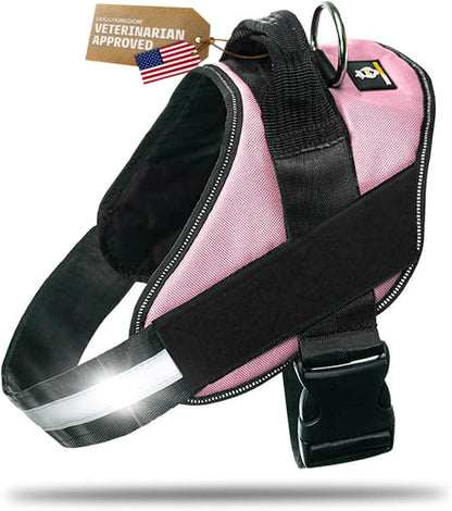 DOGGYKINGDOM No Choke Dog Harness with Handle and Patch Panels, Adjustable Reflective Dog Vest for Small Sized Dog, Blue, S12